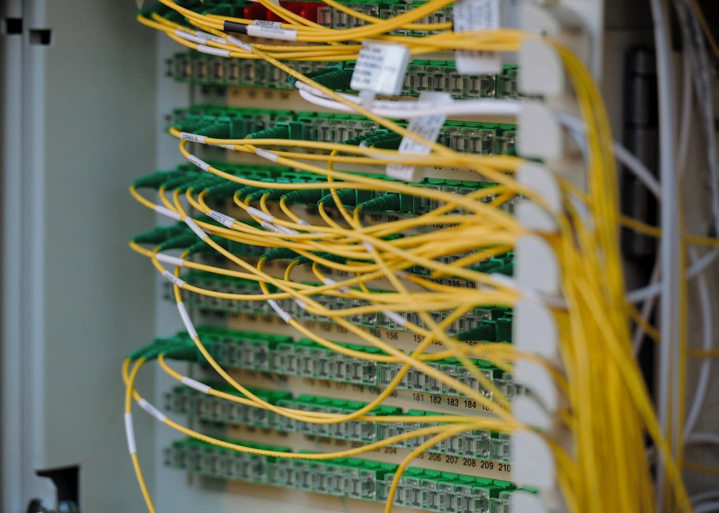 Fibre-optic patch cables terminated in a network distribution panel